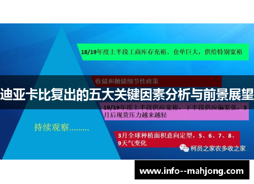 迪亚卡比复出的五大关键因素分析与前景展望