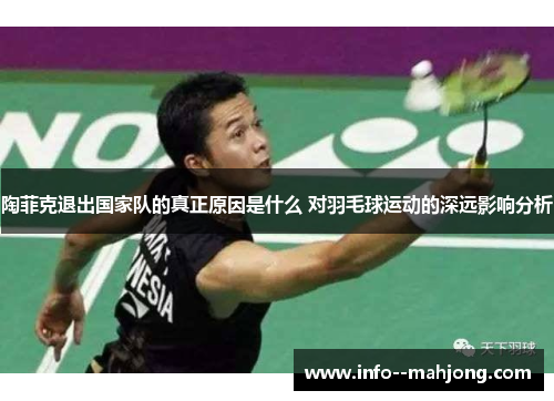 陶菲克退出国家队的真正原因是什么 对羽毛球运动的深远影响分析