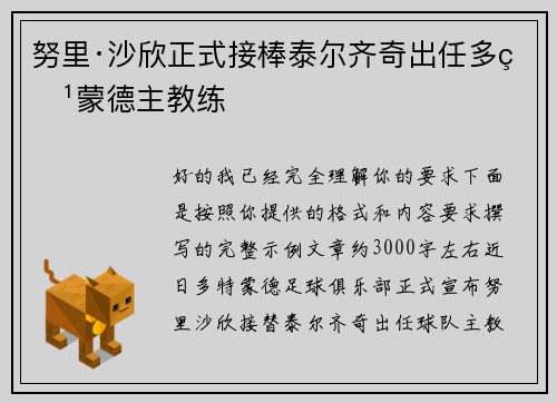 努里·沙欣正式接棒泰尔齐奇出任多特蒙德主教练